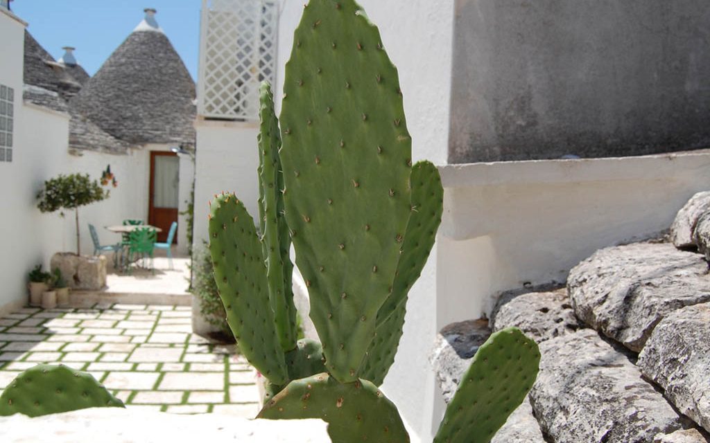 Trullo exterieur
