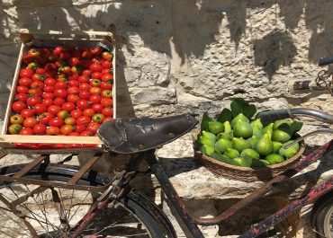D&eacute;couvrir les Pouilles authentiques : masserias durables, nature et saveurs du terroir, de la ferme &agrave; l&rsquo;assiette