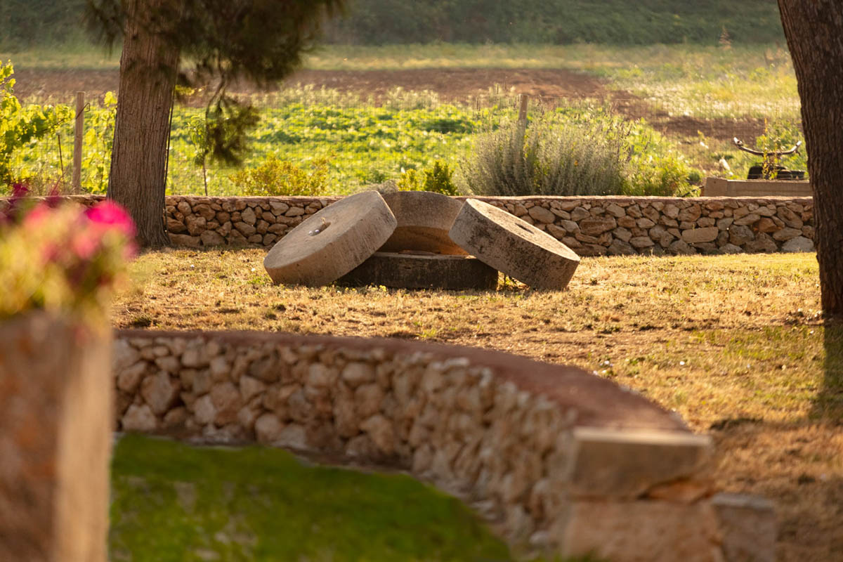 Jardin de la Masseria